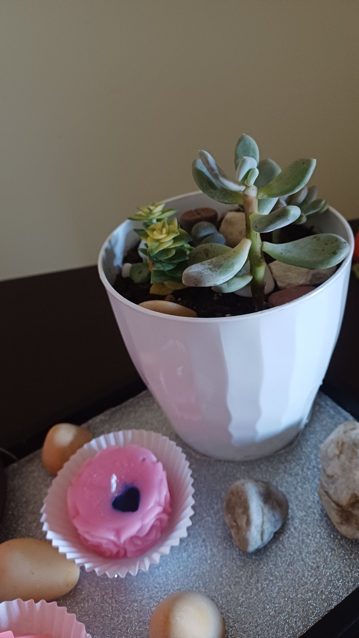 Centrotavola "Eleganza senza Tempo": Piante, Design e Profumo